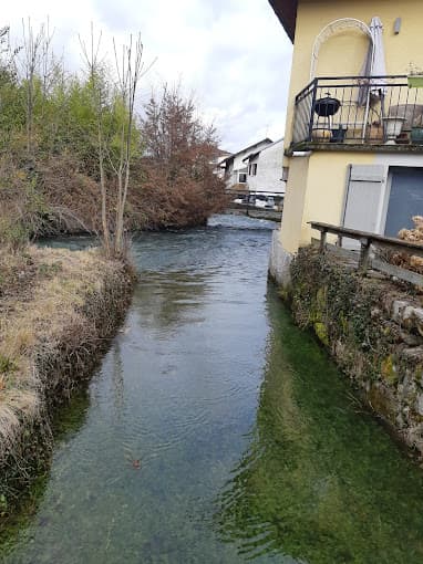 Pelletier Monnier Marie à ORNEX — Photo 5 du centre VHU agréé Ain