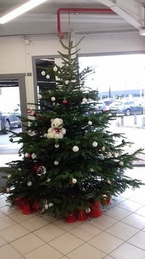 Parc de véhicules hors d'usage chez SARL N7 AUTO PIÈCES, centre agréé à AVERMES