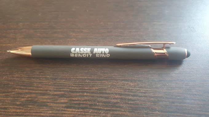 Benoît Rino à ANTIBES — Photo 4 du centre VHU agréé Alpes-Maritimes