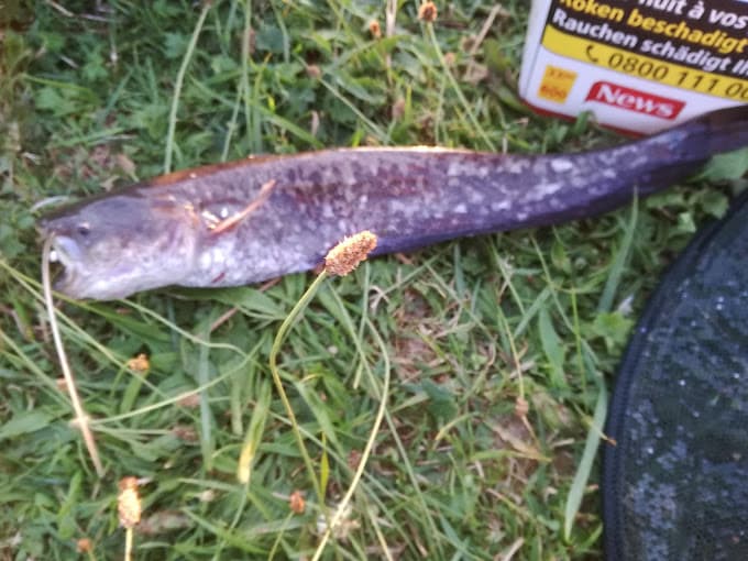 Vue extérieure du centre VHU agréé Arden Pièces Auto à ATTIGNY (Ardennes)