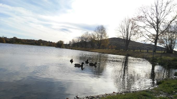 Vue extérieure du centre VHU agréé Hinderchied Jean Luc à CHAMPAGNAC (Cantal)