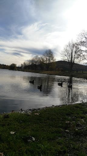 Parc de véhicules hors d'usage chez Hinderchied Jean Luc, centre agréé à CHAMPAGNAC