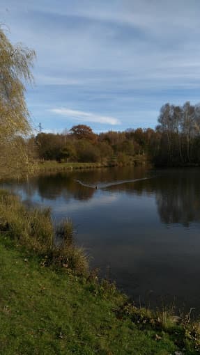 Hinderchied Jean Luc à CHAMPAGNAC — Photo 3 du centre VHU agréé Cantal