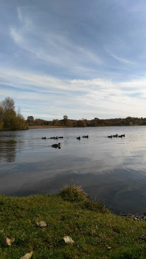 Hinderchied Jean Luc à CHAMPAGNAC — Photo 5 du centre VHU agréé Cantal