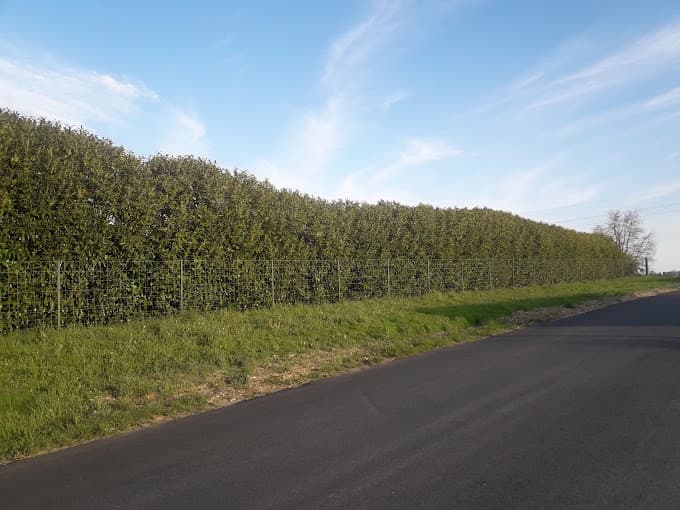 Vue extérieure du centre VHU agréé Nivelle Recyclage à TERRES-DE-HAUTE-CHARENTE (Charente)