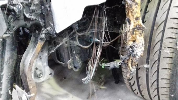 Sarl Aupy Frères Casse Auto Cognac Charente 16 à CHATEAUBERNARD — Photo 5 du centre VHU agréé Charente