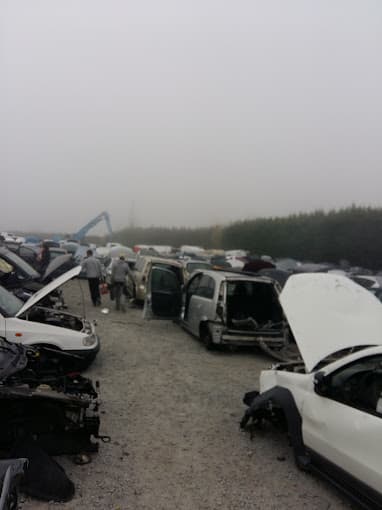 Dubourg Automobiles à RAUZAN — Photo 3 du centre VHU agréé Gironde