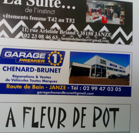 Garage Chenard-Brunet , garage premier à JANZE — Photo 4 du centre VHU agréé Ille-et-Vilaine