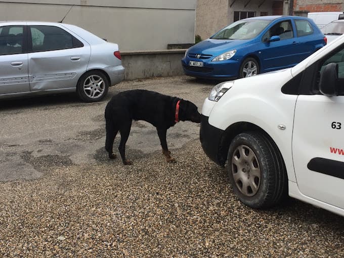 Garage Céréa à NERAC — Photo 3 du centre VHU agréé Lot-et-Garonne
