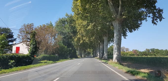 Garage Céréa à NERAC — Photo 5 du centre VHU agréé Lot-et-Garonne