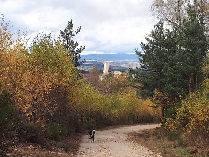 Allo Récup Autos à SAINT CHELY D'APCHER — Photo 5 du centre VHU agréé Lozère