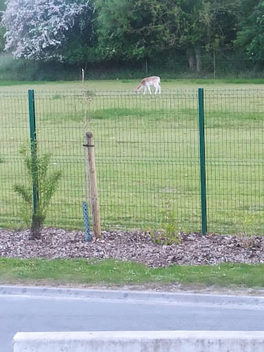 Baudelet Environnement à BLARINGHEM — Photo 3 du centre VHU agréé Pas-de-Calais