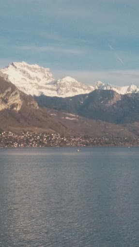 Parc de véhicules hors d'usage chez Meubles Coppin, centre agréé à VILLE INCONNUE