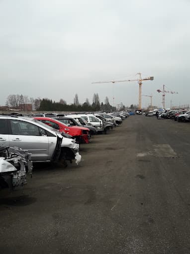 Parc de véhicules hors d'usage chez Schmidt Thierry, centre agréé à SESSENHEIM